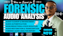 do forensic audio analysis, audio editing, cleanup, enhancement, voice analysis