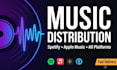 fix your music distribution issues and manage your release, spotify promotion