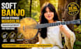 record soft banjo, nylon strings and mandolin arrangement for your song