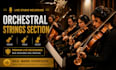 record studio quality live orchestral strings section using violin, viola, cello