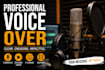 create an ai voice over narration professionally