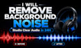 remove background noise, hiss, echo and wind from your audio and make it