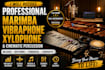 record live marimba, vibraphone, xylophone, cinematic percussion