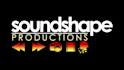 mix and or master your music professionally