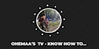 record a professional german or englisch voice