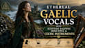 record professional choir, harmony, and vocal arrangements