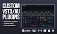 develop a custom vst audio effect plugin