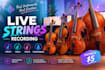 record live strings for you violin viola cello and contrabass
