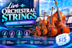 record live orchestral strings and create custom string arrangements