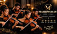 record HQ violin or violinist for you, personal strings