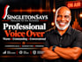 voice your project professionally