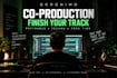 professionally finish and improve your electronic track