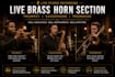 create pro live brass horn section trumpet, saxophone, trombone