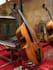 record dark cello,baroque string,theorbo,baroque flute,viola da gamba,harpsichod