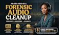 do noise reduction audio editing forensic audio repair audio clean up