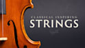 make the recording of the violin part, improvisation, strings arrangement,