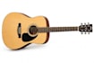 play celtic mandolin, banjo or bouzouki on your track
