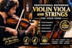 professionally record violin viola and strings