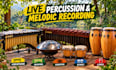 record professional vibraphone, marimba, handpan, bongo and conga