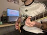 record custom guitar parts for your song