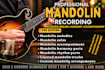 mandolin recording, mandolin, mandolin player for song, recording, or music