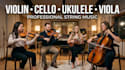record professional violin cello ukulele and viola for your song