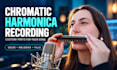 record clarinets, harmonica saxophone for your song