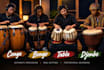 record conga bongo tabla djemb professionally for your song