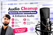 do audio clean up, background noise remove and enhance audio