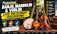 record banjo, mandolin and violin for your track