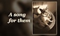 write a personalised dog or cat memorial song for pet loss