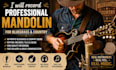 record live studio quality mandolin, fiddle, banjo, harmonica