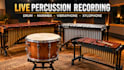 record percussion drum, marimba, vibraphone, xylophone for your song