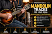 record professional mandolin tracks for your song