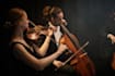 record violin viola cello and string quartet for your song