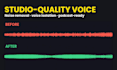 remove background noise and make your voice sound studio quality