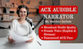 record a professional german voice over or german audiobook narration