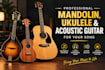 record professional mandolin, ukulele, guitar for your song