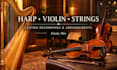 record harp, violin, strings part for your cinematic music