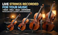 record live strings for you violin, viola, cello, contrabass