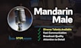 provide professional male mandarin voice over