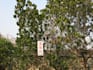 record in chinese cantonese or mandarin