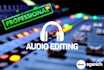 perform professional audio editing or noise reduction