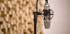 record high quality latvian female voice over