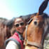 create your equestrian show music