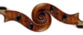 record violin or viola for you