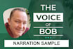 deliver the perfect male voiceover for your project