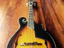 deliver a top quality mandolin recording for your project