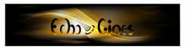 voice over your presentation, video, other services