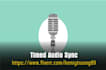 record vietnamese male voice over